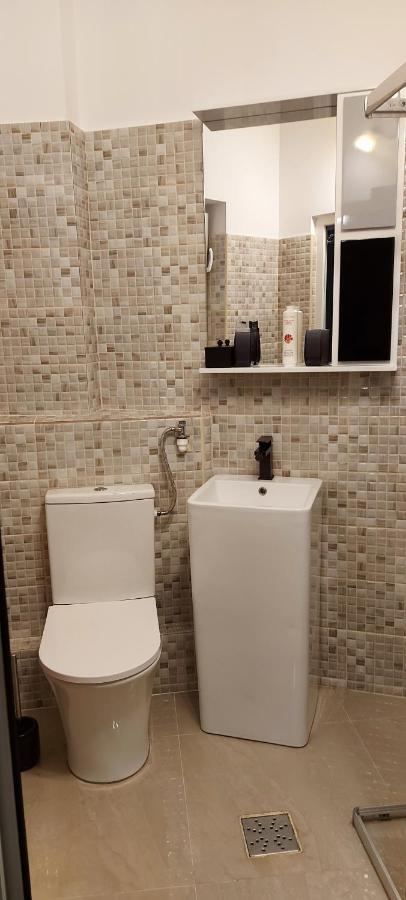 Balcescusuite Apartment *